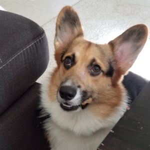 Meet your Posher, Tamara